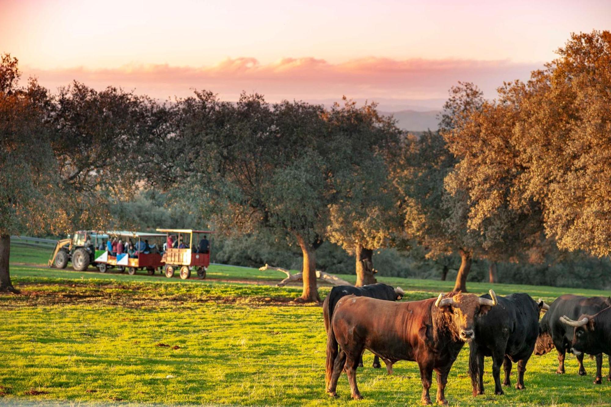 Finca El Cotillo ليناريس المظهر الخارجي الصورة