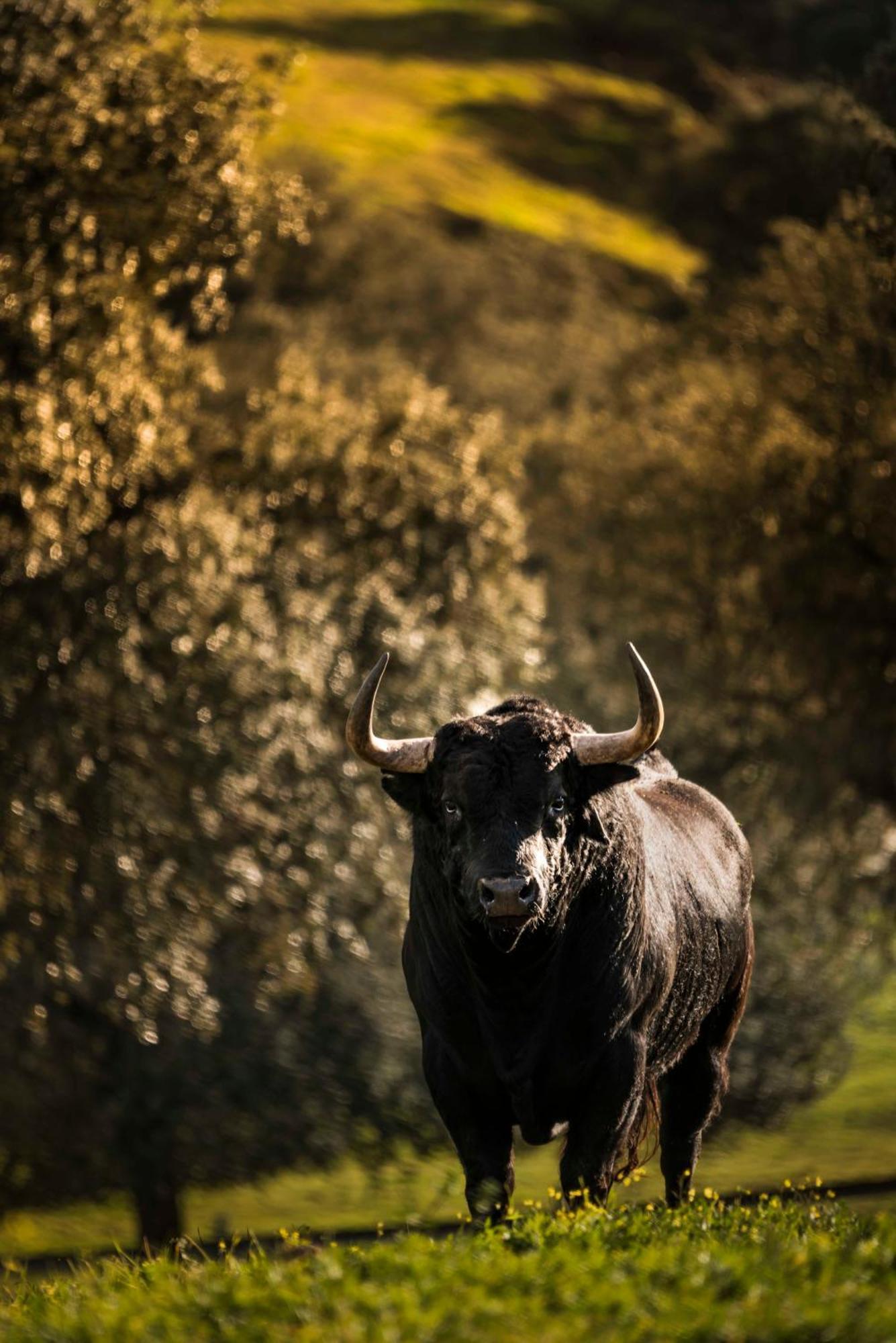 Finca El Cotillo ليناريس المظهر الخارجي الصورة