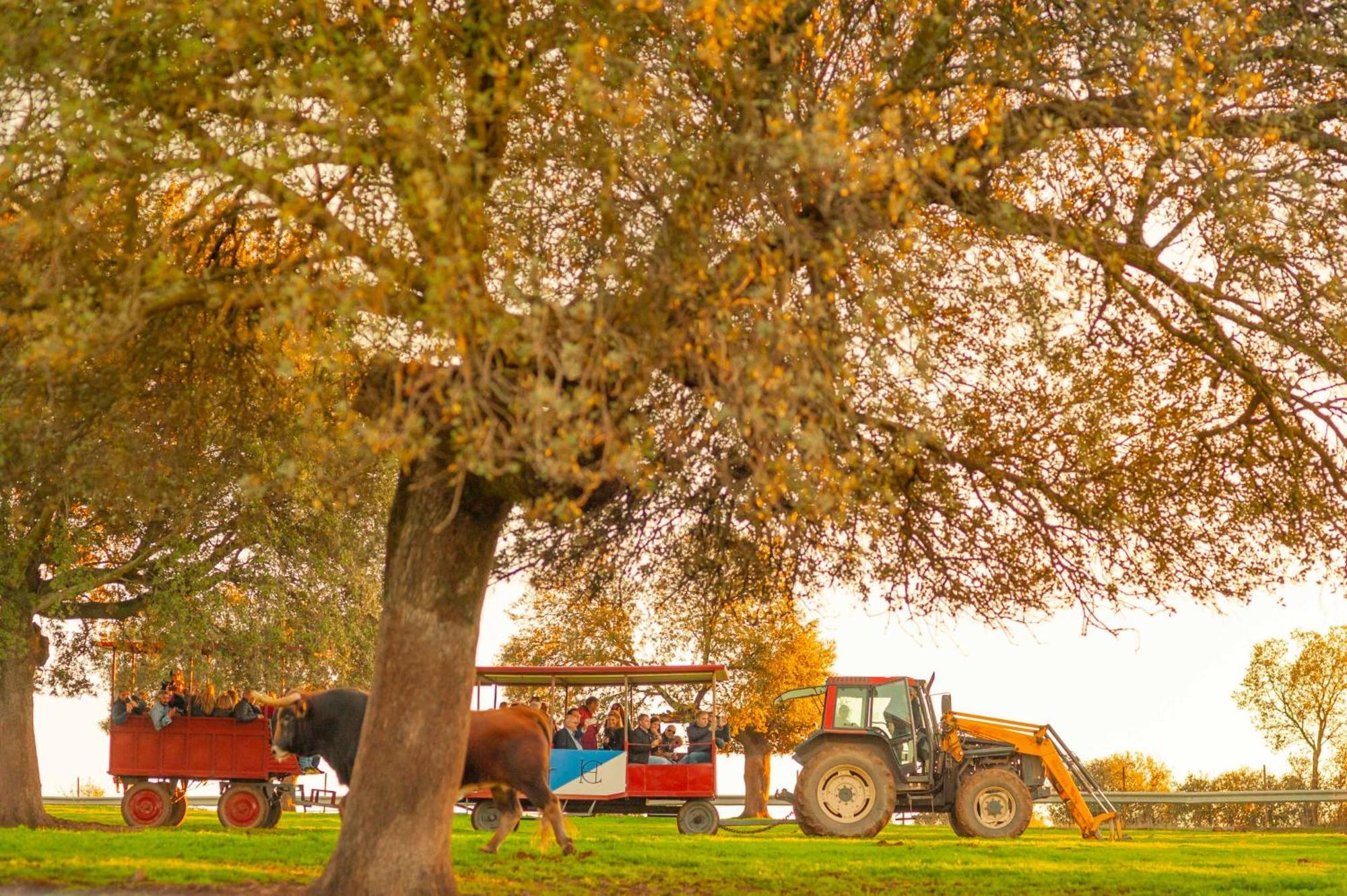 Finca El Cotillo ليناريس المظهر الخارجي الصورة